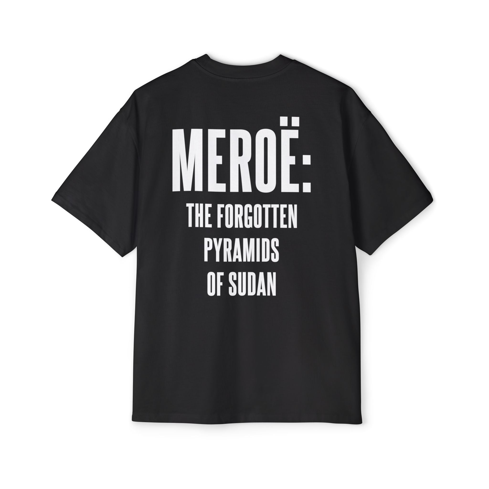 Land of Civilization Unisex Heavy Oversized Tee